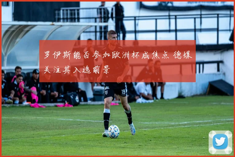 罗伊斯能否参加欧洲杯成焦点 德媒关注其入选前景