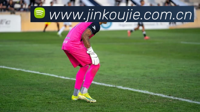 leyu乐鱼在线登录最新官网平台生态图